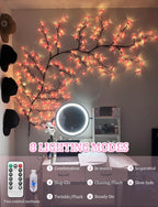 FIALAME Cherry Blossom Lights